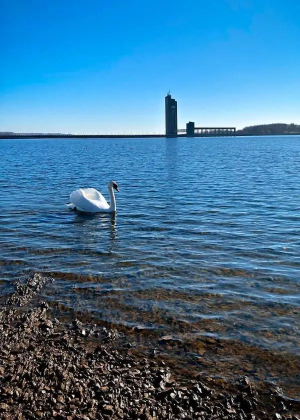 Les Lacs de l'Eau d'Heure