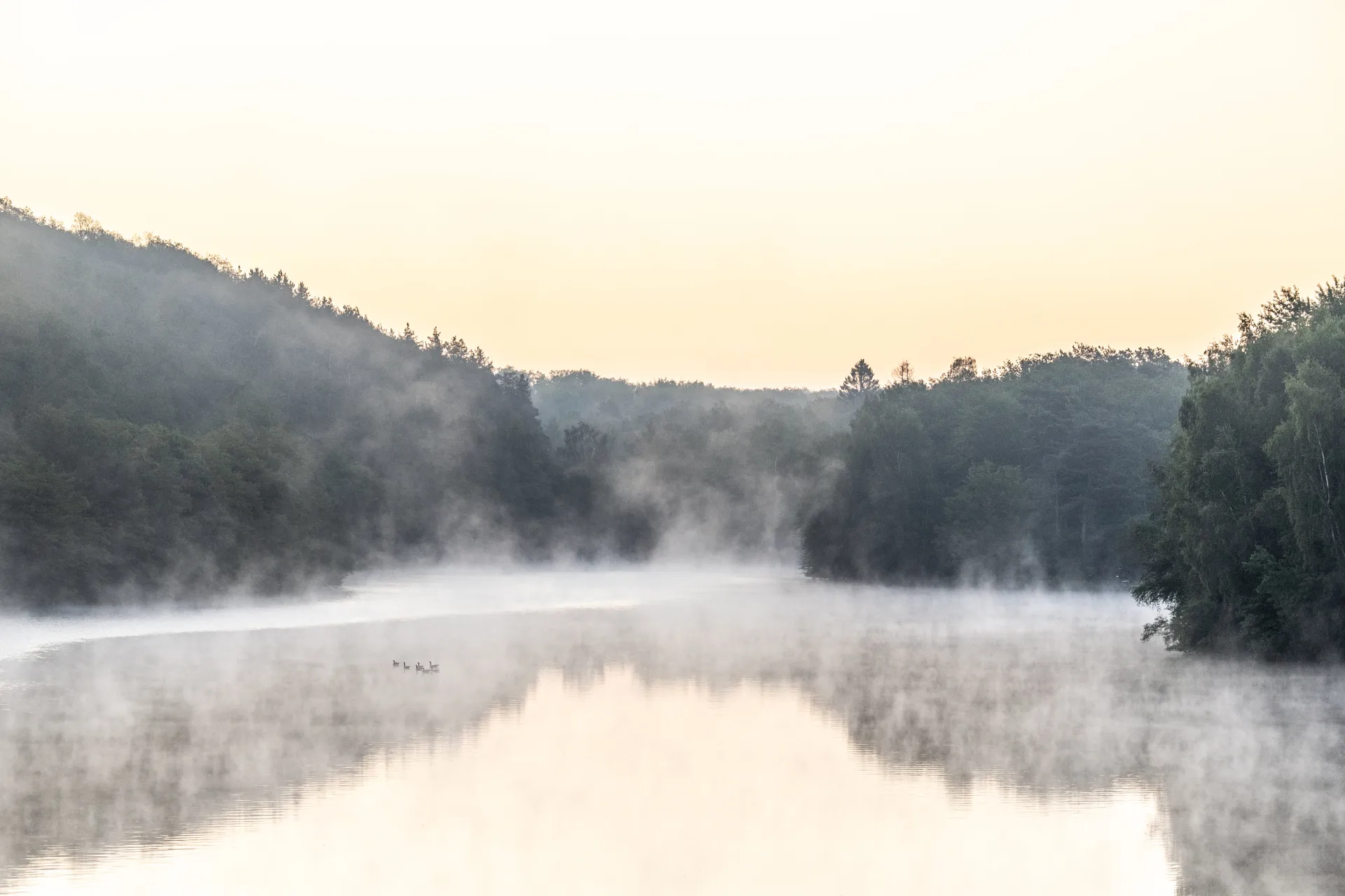 Bienvenue au Domaine des Lacs de l'Eau d'Heure
