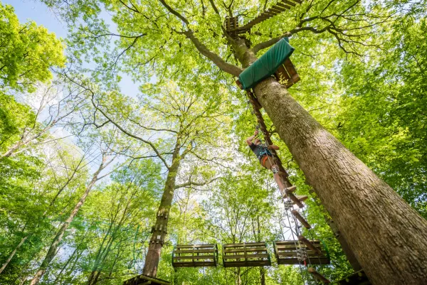 activite-nature-accrobranche-tyrolienne-belgique-lac-eau-dheures