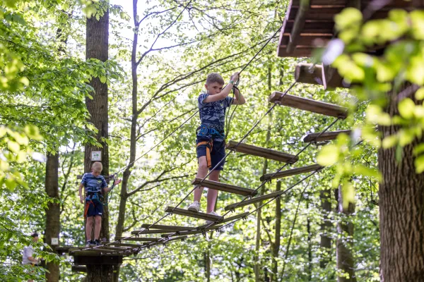 Parcours accrobranche et tyroliennes géantes