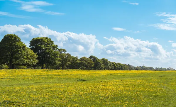Balade de Vergnies à Erpion