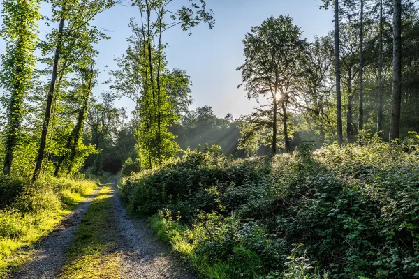Balade La boucle de l’Eau d’Heure