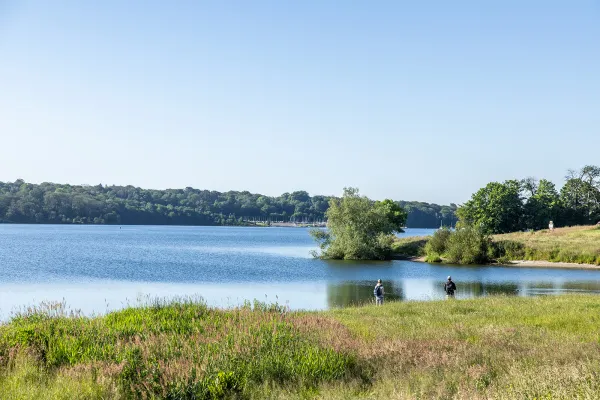 Balade Le bois du Grand Oupia